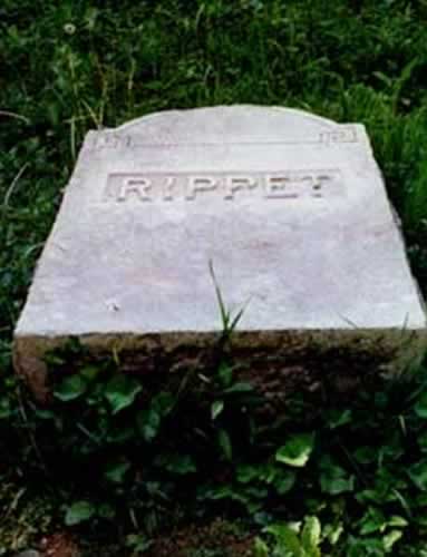 rippet