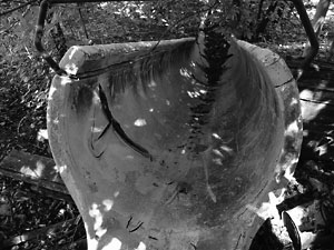 Black and white image of the top of a slide chute.